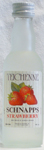 Strawberry Teichenne-Teichenne Schnapps