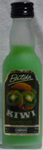 Batida de Kiwi Campeny-Campeny