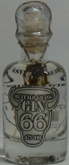 Gin 66 Buffalo Grass