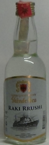 Raki Rrushi Gjergj Kastrioti Skenderbeu