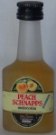 Regnier Peach Schnapps Melocotón Cointreau-Cointreau y Cia