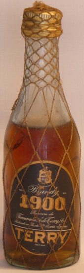 Brandy 1900 Terry